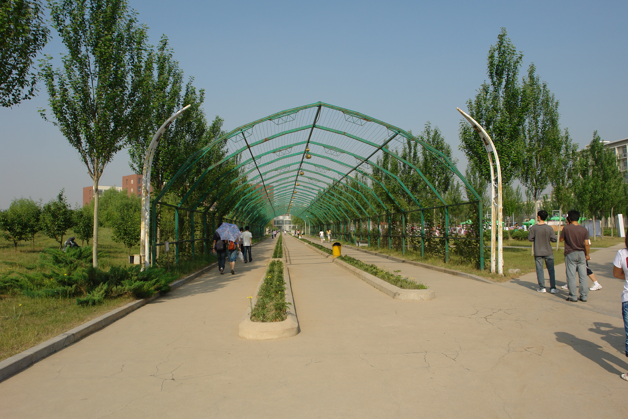 沈阳建筑大学校园景观文化——生态长廊图片